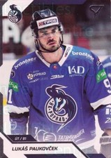 2022-23 Slovakian SportZoo #101 Lukas Paukovcek
