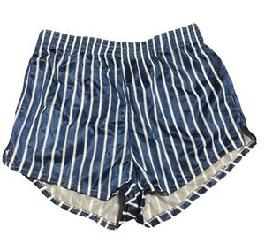 Vtg 70s Genie Blue Stripe Nylon Shorts Sz S Workout Beach Skate Hooters - Picture 1 of 6