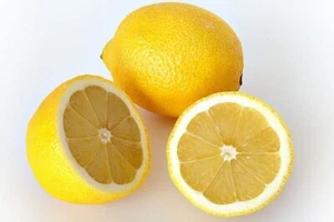 MEYER LEMON-5 X SEEDS-FRUIT TREE GARDEN ORCHARD-GROW A SWEET CITRUS SHRUB PLANT - Picture 1 of 13
