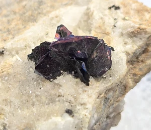 +++ COVELLITE XLS, QUARTZ BUTTE, SILVER BOW COUNTY, MONTANA +++ - Picture 1 of 8