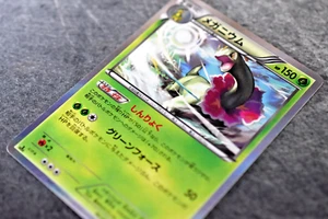 Pokemon TCG - Meganium 003/080 - 1st Ed. Holo Jap Rage of the Broken Heavens NM - Picture 1 of 7