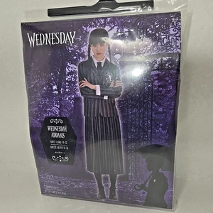 Wednesday Addams Adult Costume #456 Large 10 - 12 - Picture 1 of 12
