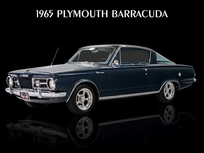 1965 Plymouth Barracuda Hot Rod металлический знак: 12 x 16» и Бесплатная доставка - Изображение 1 из 1