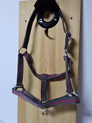 EQUEST Halfter Stallhalfter grau-rot Pony Gr. 1 / unbenutzt - Bild 1 von 2