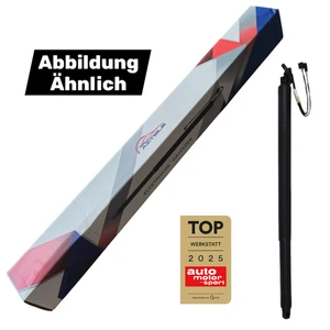 ELEKTRISCH HECKKLAPPENDÄMPFER FÜR AUDI Q3 83A827851D Links/Rechts - Bild 1 von 1