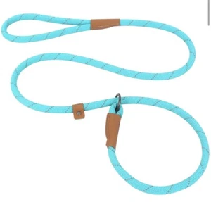 Slip Lead Dog Leash, Reflective Lead Leashes, Heavy Duty Medium Turquoise - Picture 1 of 9