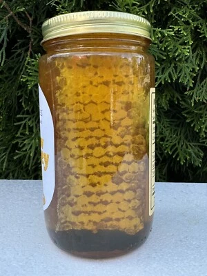 RAW HONEY COMB 1LB 100% PURE UNFILTERED USA HONEYCOMB - Image 1 of 4