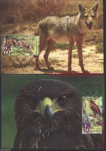 BULGARIA 2008 NATURE RESERVE STRANJA JACKAL EAGLE 2 MAXI CARDS - Picture 1 of 1