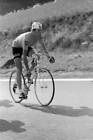 French Road & Track Cyclist Roger Pingeon C1960s 4 Old Cycling Photo