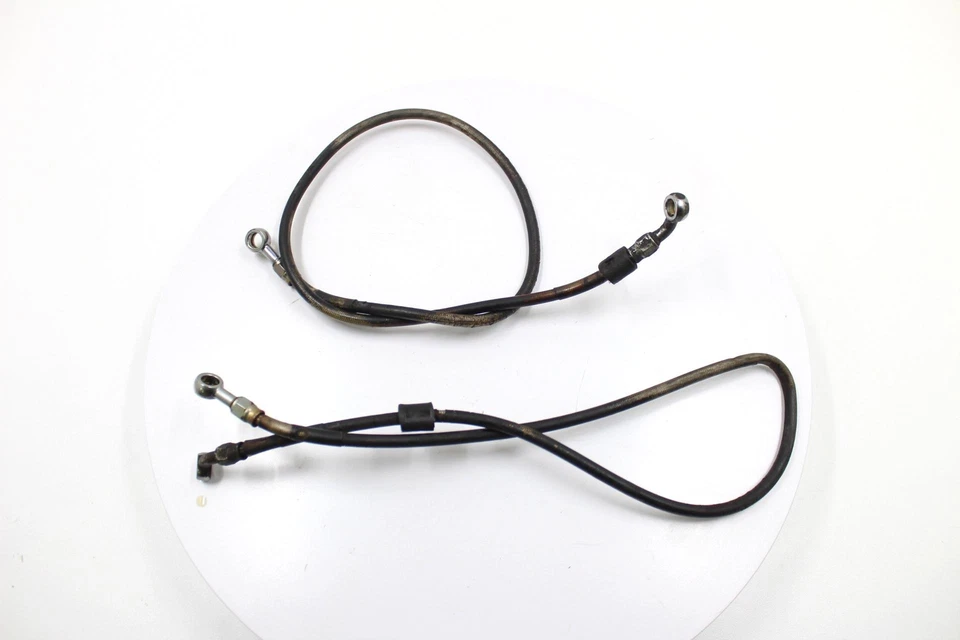 Suzuki Bandit 1200 1998 OEM pinza de freno delantera mangueras líneas Foto 1 de 4