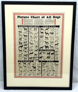 1937 PICTURE CHART OF ALL DOG BREEDS - FRAMED Dog World Magazine Judy Publishing - Picture 1 of 11