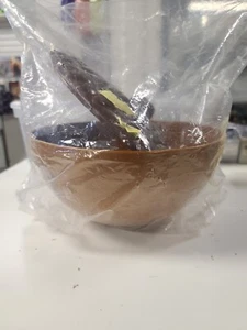 Vintage Ice Age 2 The Meltdown ACORN BOWL Container Rare Mail Away Sealed Bag - Picture 1 of 3