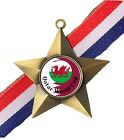 Wales Qatar World Cup 2022 Personalised Antique Gold Star Medal & Ribbon