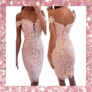 Rosa Rouge Spitze Häkel Schulterfrei Stickerei Bodycon Cocktailkleid - Bild 1 von 15