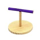 Tabletop Bird Play Stand, Parrot Training Perch Stands, Gym Perch Gym Playgound