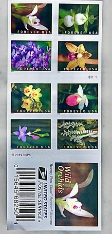 Wild Orchids Book of 20 Forever First Class Postage 1 Booklet (20 Stamps) MNH Cover
