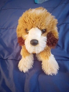 douglas kuscheltiere plüschhund - Bild 1 von 5