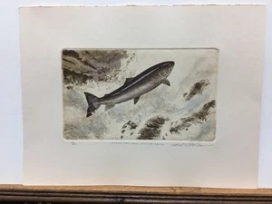 Mike Stidham Leaping Falls Atlantic Salmon Fishing Signed Etching Art Print - Picture 1 of 1