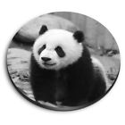 Round MDF Magnets - BW - Baby Panda Bear China #42515