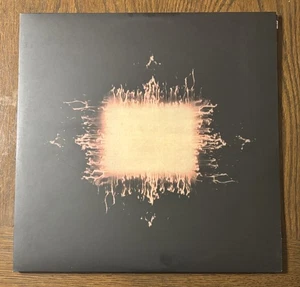 TOOL AENIMA Double LP vinyl Pre owned PICS - Imagen 1 de 3