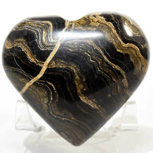 2.5" Stromatolite Puffy Heart Natural Algae Fossil Mineral Polished Stone - Peru - Picture 1 of 4