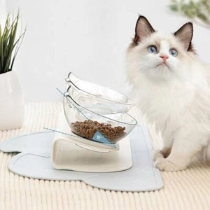 Double Cat Bowl 15° Tilted Raised Stand Cat Water Food Feeding Dishes Feeder - Picture 1 of 13