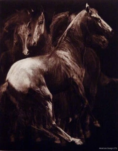 G H Rothe "Herd" Horses Rare Hand Signed LE Mezzotint Art SUBMIT AN OFFER! - Picture 1 of 7
