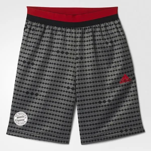 Adidas BAYERN MÜNCHEN KNIT SWAT Training Fußball kurze Hose - Trikot JUGEND Gr. XL neu mit Etikett - Bild 1 von 5