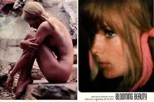 1971 Risqué Celebrity Pictorial BLOOMING BEAUTY LINDA EVANS 5 pgs nudity042625 - Bild 1 von 2