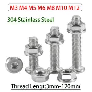 Tornillo plano Allen de acero inoxidable con tuerca de brida antideslizante - Imagen 1 de 116