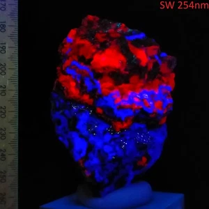 Fluorita Calcita Willemite Fluorescente Onda Larga y Corta Minerales Arizona 0.25kg - Imagen 1 de 12