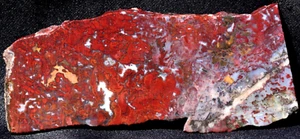 S732a ~ 1.9 oz Slab of Red Lightning Agate ~ Chihuahua, Mexico - Picture 1 of 10