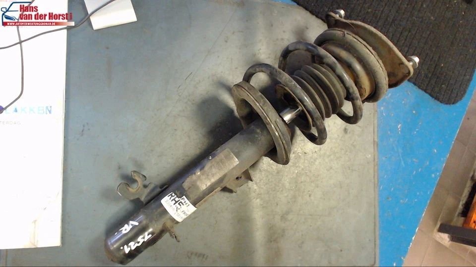 Stoßdämpfer Rechts Vorne Mini (bmw) W11B16A 22191249 22191234 31316764920 R50 / - Bild 1 von 4