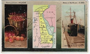 1889 Arbuckle's Bros. Coffee Advertising Trade Card No 72 Delaware - Picture 1 of 2
