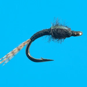 Black Flashback Pupa, 6 pcs.. size 18 (CLOSEOUT) - Picture 1 of 1