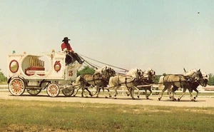 Spring Creek Farms - Richardson, Texas Vintage Postcard Ponies Pulling a Wagon - Picture 1 of 2