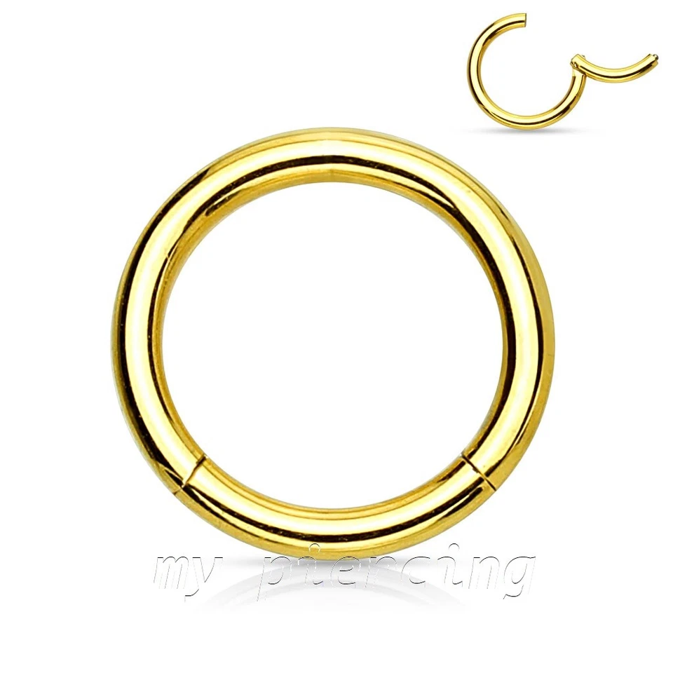 Pendiente aro anillo segmento sin costuras con bisagras cartílago tragus labret tabique Foto 1 de 4