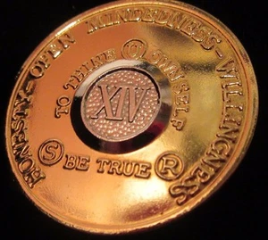 Alcoholics Anonymous 14 Year AA Gold Bi plate Medallion Coin token Chip Sober - Picture 1 of 7