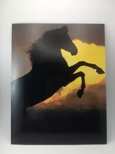 Vintage Robert Vavra's Equis Mead Folder Horse - Picture 1 of 4