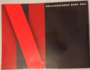Netflix Press FYC 2022 Promo Book 42 Pages Grace Squid Ozark Cobra VG free shpg - Picture 1 of 7
