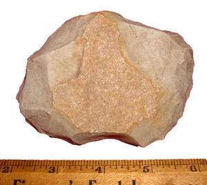 Nice (4") American Indian (Wilson Co, Texas) Chopper, Ancient Indian Artifact - Picture 1 of 5