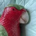 Parrot Pitcher/creamer Red Green Tropic Realistic Feather Beak Nib Winged Handle