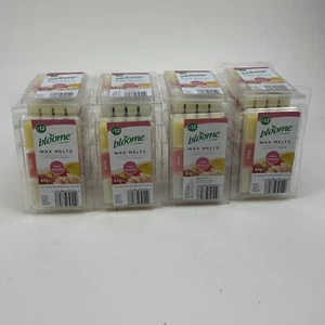 24x Floral Bouquet Bloome Wax Melts Scents Oil Burner 12 Pack Joblot Wholesale - Picture 1 of 6