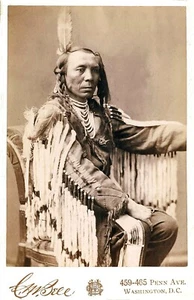 Native Indian Chief King Crow 1880 Print Poster Wall Picture A4 - Picture 1 of 6