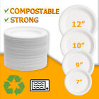 Bagasse Biodegradable Strong Plates White Disposable Paper Plates Eco Friendly