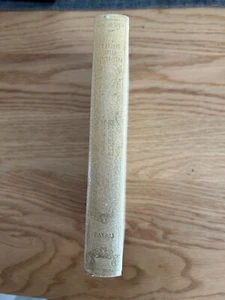 I GRANDI DELLA LETTERATURA 22 ROMANZI DI FEDOR DOSTOEVSKIJ FABBRI 1968 - Imagen 1 de 12