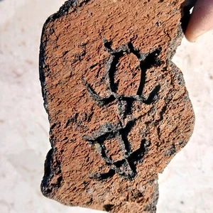 Sea Turtle honu Petroglyph Ancient Art Hawaiian Hieroglyph Rock Stone Carving - Picture 1 of 22
