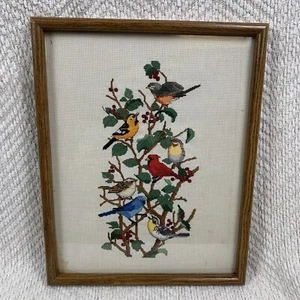 Vintage Feathered Friends Birds Nancy Rossi Cross Stitch Completed Framed 12x15 - Picture 1 of 13