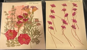 Red & Pink Delicate Pressed Flowers for Scrapbooking, Card Making, Etc. - Picture 1 of 1