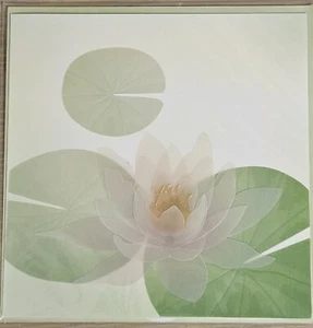 PAPYRUS TRANSPARENT LOTUS WASSERLILIE BLUME SYMPATHIE GRUSSKARTE  - Bild 1 von 4